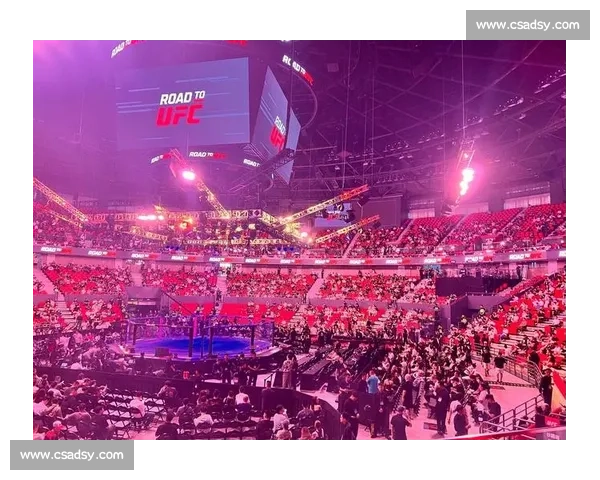 UFC直播VS全球格斗赛事对决精彩看点解析与实时观赛体验全面升级